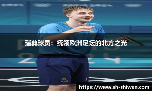瑞典球员：统领欧洲足坛的北方之光